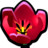 郁金香 Tulip